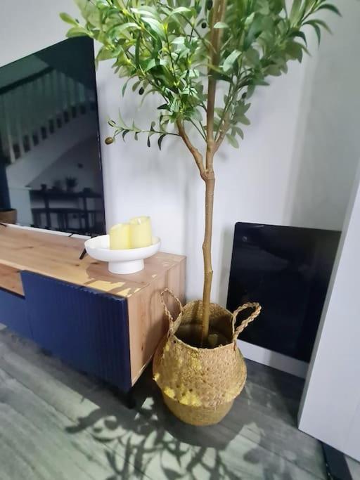 גלאזגו Lovely House With Back Garden - Private Driveway מראה חיצוני תמונה